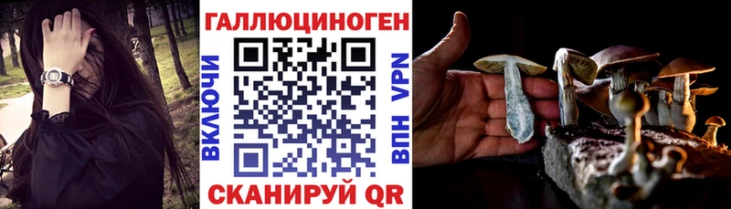 Галлюциногенные грибы GOLDEN TEACHER  купить наркотики сайты  Ступино 